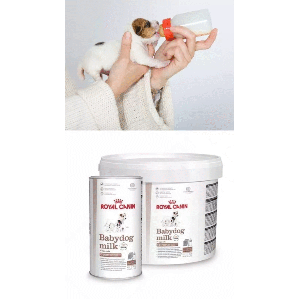 Royal Canin Morsmelkerstatning 400g